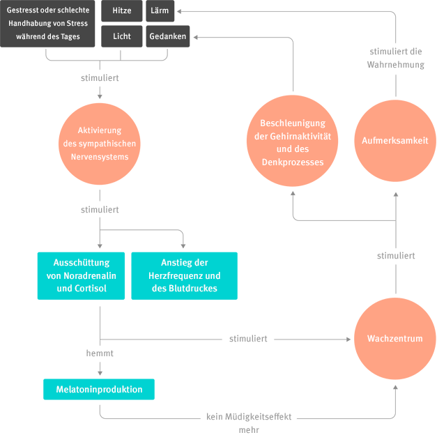 illustration_readmore_cercle_vicieux