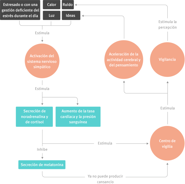 illustration_readmore_cercle_vicieux