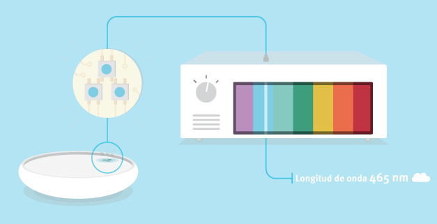 illustration_readmore_bleu