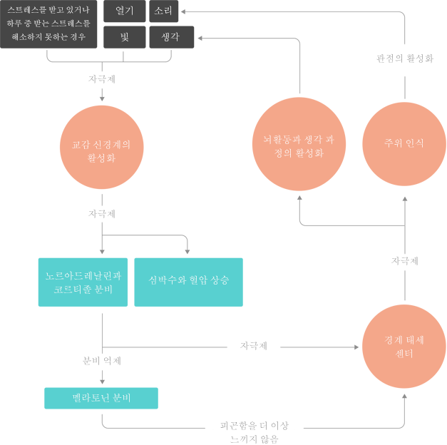 illustration_readmore_cercle_vicieux